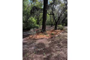 29716 DEERWOOD FARMS ROAD, SORRENTO, FL 32776 - MLS#MFRO6396475