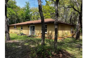 29716 DEERWOOD FARMS ROAD, SORRENTO, FL 32776 - MLS#MFRO6396475