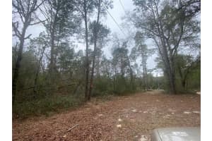 SW 156TH PL #0, DUNNELLON, FL 34432 - MLS#MFRO6396524
