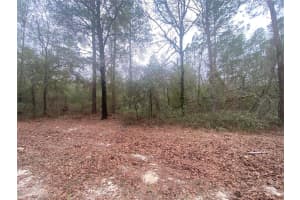 SW 156TH PL #0, DUNNELLON, FL 34432 - MLS#MFRO6396524