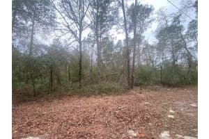 SW 156TH PL #0, DUNNELLON, FL 34432 - MLS#MFRO6396524