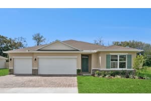 2988 GREY MOSS DRIVE, ST CLOUD, FL 34773 - MLS#MFRO6396561