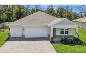 3000 GREY MOSS DRIVE, ST CLOUD, FL 34773 - MLS#MFRO6396578