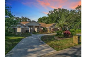 8707 FERNWICKE COURT, ORLANDO, FL 32819 - MLS#MFRO6396612