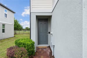 951 ROBIN HOLLY STREET, OCOEE, FL 34761 - MLS#MFRO6396733