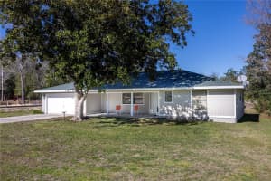 15181 9TH STREET, WILLISTON, FL 32696 - MLS#MFRO6396740