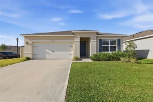 11308 AMBER RIDGE DRIVE, ZELLWOOD, FL 32798 - MLS#MFRO6396765