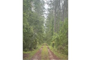 NO STREET, DELAND, FL 32724 - MLS#MFRO6396794