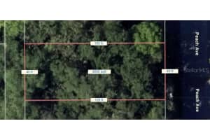 PEACH AVE, SANFORD, FL 32771 - MLS#MFRO6397002