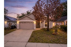 3013 CATHERINE WHEEL COURT, ORLANDO, FL 32822 - MLS#MFRO6397014