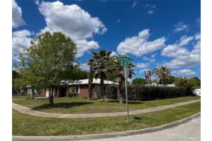 1459 OAK LEAF LANE, KISSIMMEE, FL 34744 - MLS#MFRO6397026