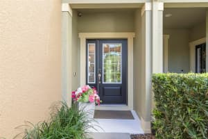 11732 CASA LAGO LANE, TAMPA, FL 33626 - MLS#MFRO6397091