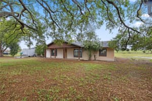 17425 LAKE INGRAM ROAD, WINTER GARDEN, FL 34787 - MLS#MFRO6397109