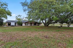 17425 LAKE INGRAM ROAD, WINTER GARDEN, FL 34787 - MLS#MFRO6397109