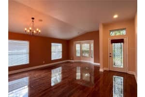 809 STRAW LAKE DRIVE, BRANDON, FL 33510 - MLS#MFRO6397134