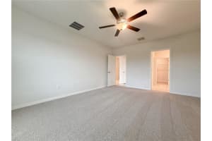 11849 BLACKEYED SUSAN DRIVE, RIVERVIEW, FL 33579 - MLS#MFRO6397234