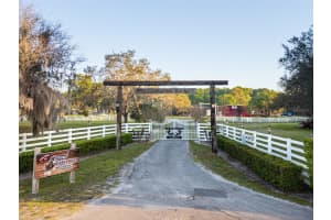 280 CAMPBELL RANCH RUN, GENEVA, FL 32732 - MLS#MFRO6397379