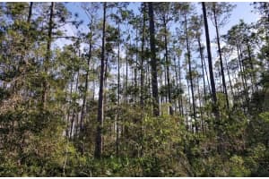 3775 BREEZY COURT, ORMOND BEACH, FL 32174 - MLS#MFRO6397410