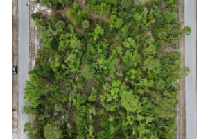 1249 CHRIS TERRACE, PORT CHARLOTTE, FL 33953 - MLS#MFRO6397432