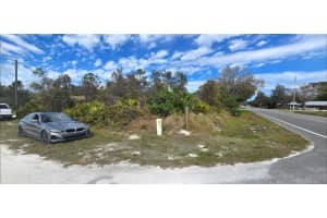 303 TERN AVENUE, SEBRING, FL 33870 - MLS#MFRO6397472