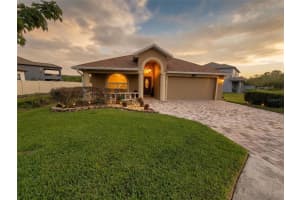 1001 Torreya Way, ODESSA