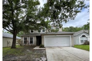 19222 WOOD SAGE DRIVE, TAMPA, FL 33647 - MLS#MFRO6397675