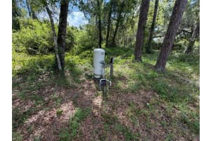 7157 DENTALA STREET, BROOKSVILLE, FL 34604 - MLS#MFRO6397710