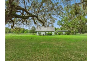 15950 50TH STREET, WILLISTON, FL 32696 - MLS#MFRO6397753