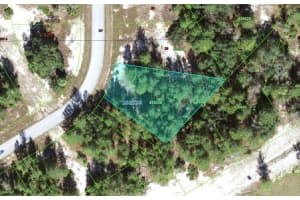 1318 HOMOSASSA DRIVE, KISSIMMEE, FL 34759 - MLS#MFRO6397765