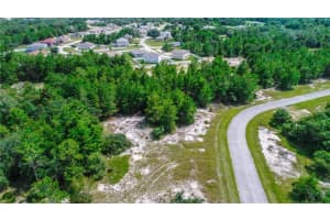 1318 HOMOSASSA DRIVE, KISSIMMEE, FL 34759 - MLS#MFRO6397765