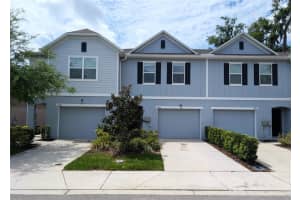4744 Spatter Dock St, TAMPA