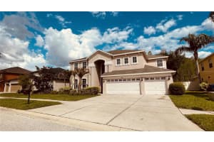 3624 DUKE FIRTH STREET, LAND O LAKES, FL 34638 - MLS#MFRO6398094