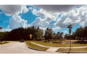 3624 DUKE FIRTH STREET, LAND O LAKES, FL 34638 - MLS#MFRO6398094