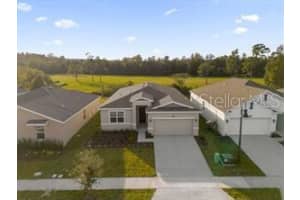 4385 PEBBLES THROW DRIVE, KISSIMMEE, FL 34746 - MLS#MFRO6398205
