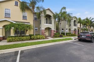 14160 STILTON STREET, TAMPA, FL 33626 - MLS#MFRO6398418