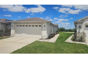 1931 SASSAFRAS DRIVE, WESLEY CHAPEL, FL 33543 - MLS#MFRO6398460