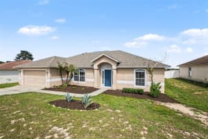 1011 BLUEGRASS DRIVE, GROVELAND, FL 34736 - MLS#MFRO6398493
