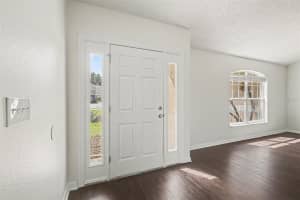 1011 BLUEGRASS DRIVE, GROVELAND, FL 34736 - MLS#MFRO6398493