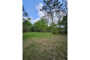 1909 CREEKWOOD RUN, LAKELAND, FL 33809 - MLS#MFRO6398527