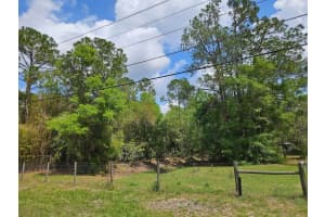 1909 CREEKWOOD RUN, LAKELAND, FL 33809 - MLS#MFRO6398527