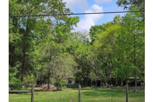 1909 CREEKWOOD RUN, LAKELAND, FL 33809 - MLS#MFRO6398527