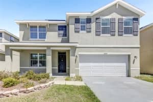 10019 Geese Trail Cir, SUN CITY CENTER