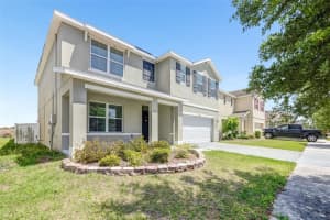 10019 GEESE TRAIL CIRCLE, SUN CITY CENTER, FL 33573 - MLS#MFRO6398575