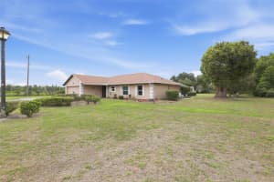 2425 HAWK GRIFFIN ROAD, PLANT CITY, FL 33565 - MLS#MFRO6398587
