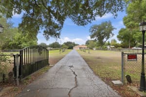 2425 HAWK GRIFFIN ROAD, PLANT CITY, FL 33565 - MLS#MFRO6398587