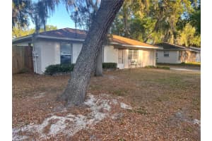 312 DEBORAH AVENUE, LEESBURG, FL 34748 - MLS#MFRO6398773