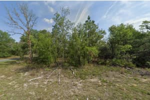 1389 PENDLETON STREET, DUNNELLON, FL 34434 - MLS#MFRO6398788