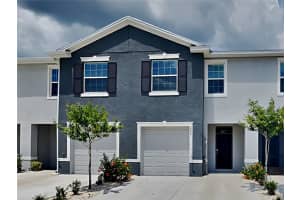5254 DRAGONFLY DRIVE, WILDWOOD, FL 34785 - MLS#MFRO6398901