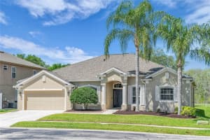 9806 MOUNTAIN LAKE DRIVE, ORLANDO, FL 32832 - MLS#MFRO6398936
