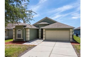 8408 Canterbury Lake Blvd, TAMPA